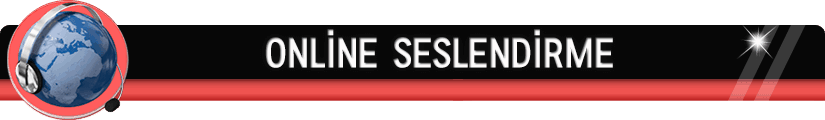 Online Seslendirme, Online Dublaj