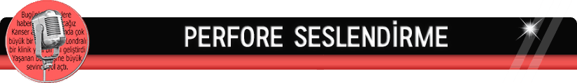Perfore Seslendirme